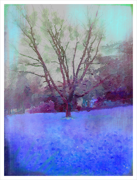 Cerisier en hiver Art Print by Malixx