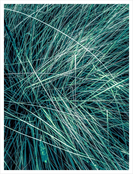 green grass texture abstract background Art Print by Timmy333