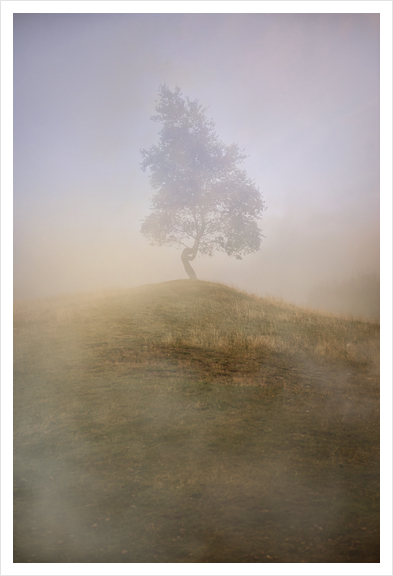 Loneliness at foggy dawn Art Print by Jarek Blaminsky