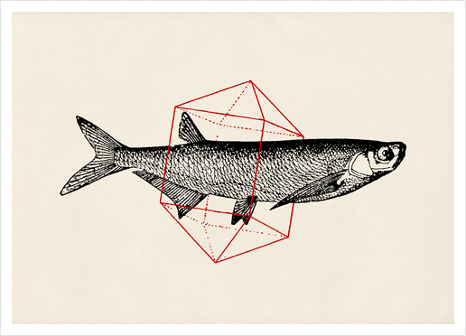 Fish In Geometrics II Art Print by Florent Bodart - Speakerine