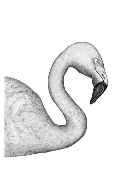 Flamingo Art Print by Nika_Akin