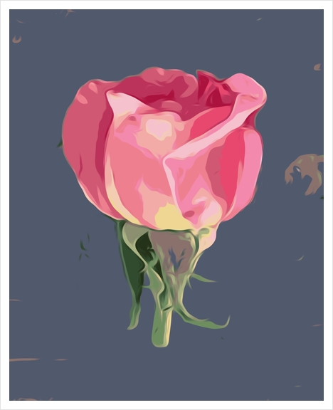 pink rose with grey background Art Print by Timmy333
