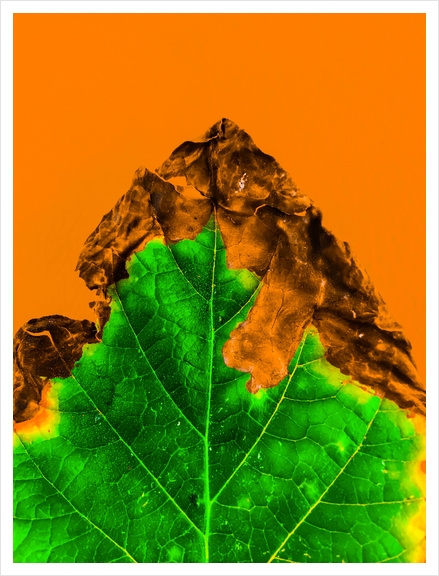 close up burning green leaf texture with orange background Art Print by Timmy333