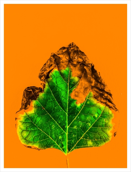 burning green leaf texture with orange background Art Print by Timmy333