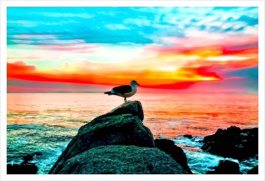 seagull bird on the stone with ocean sunset sky background in summer Art Print by Timmy333