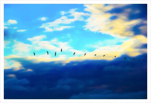 birds flying over with blue cloudy sky Art Print by Timmy333