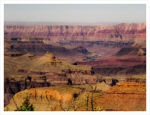 texture of rock and stone at Grand Canyon national park, USA Art Print by Timmy333