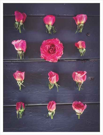 fresh and beautiful pink roses with wood background Art Print by Timmy333