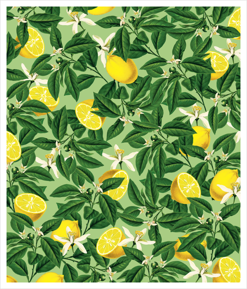 Lemonade V2 Art Print by Uma Gokhale