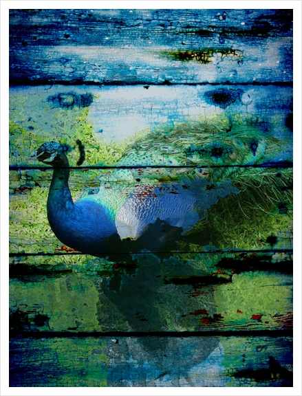  Peacock I  Art Print by Irena Orlov