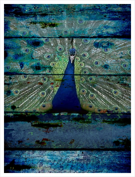 Peacock III Art Print by Irena Orlov