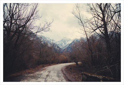 Road with mountain III Art Print by Salvatore Russolillo