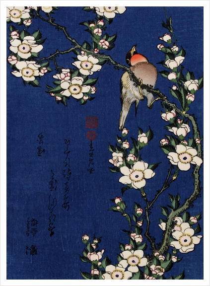 Robin on a Branch of Cherry Blossom Art Print by Katsushika Hokusai