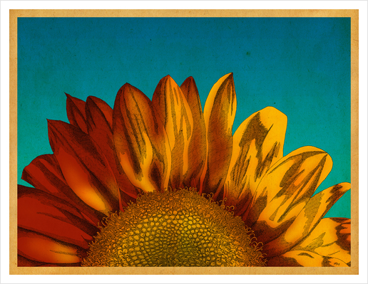 A Sunflower Art Print by MegShearer