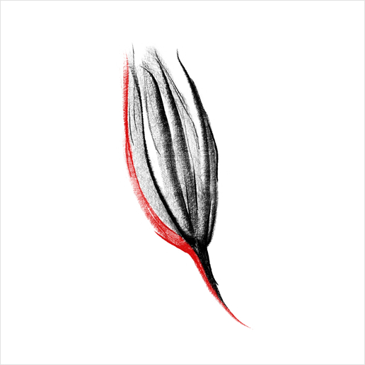Red Flower Art Print by cinema4design