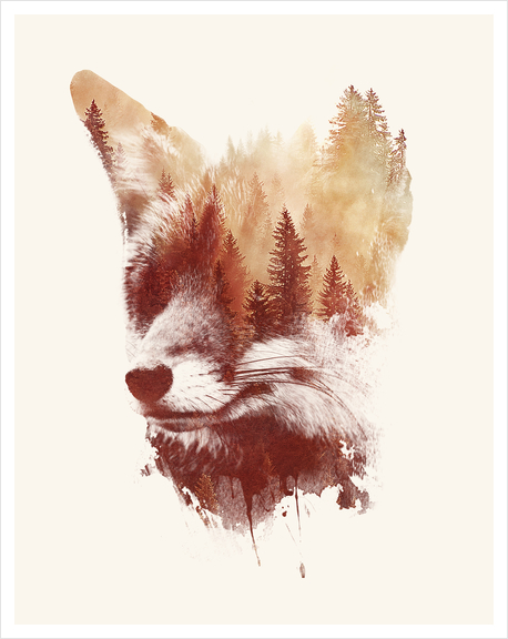 Blind Fox Art Print by Robert Farkas