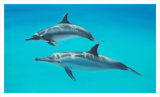 Dolphins Art Print by di-tommaso