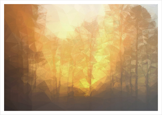 Forest in the sunrise Art Print by Vic Storia