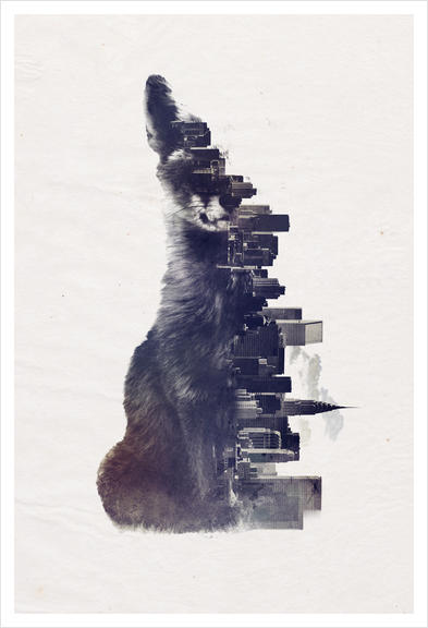 Fox from the city Art Print by Robert Farkas