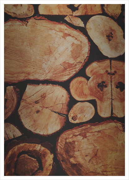 Lumberjack Art Print by Leah Flores