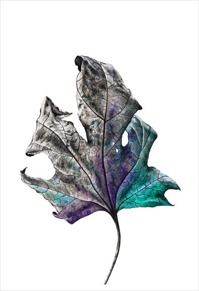 Leaf Art Print by Nika_Akin