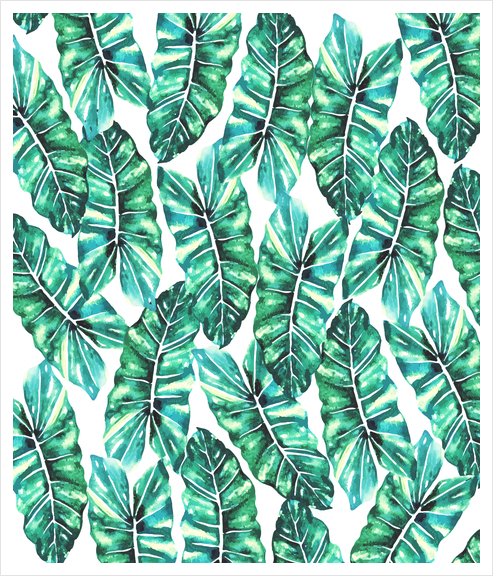 Leafy Wonder V2 Art Print by Uma Gokhale