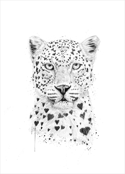 Lovely leopard Art Print by Balazs Solti