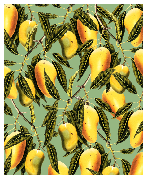 Mango Season Art Print by Uma Gokhale