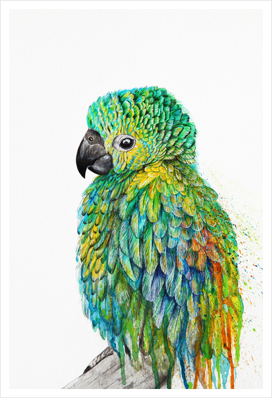 Parrot Art Print by Nika_Akin