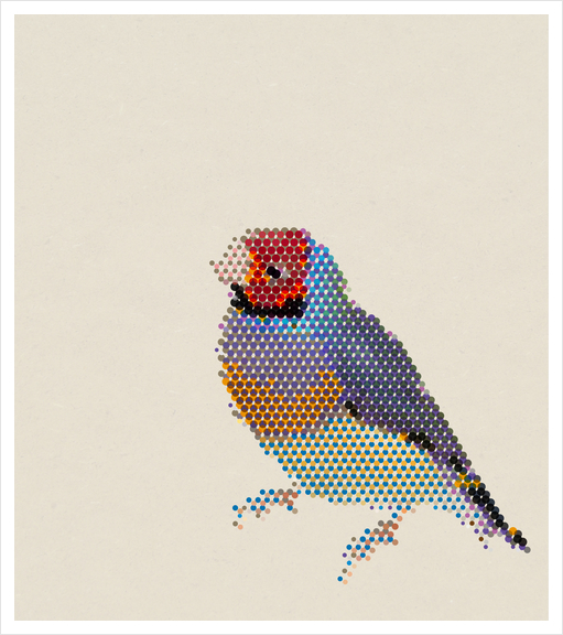 Red Head Bird Art Print by Alex Xela