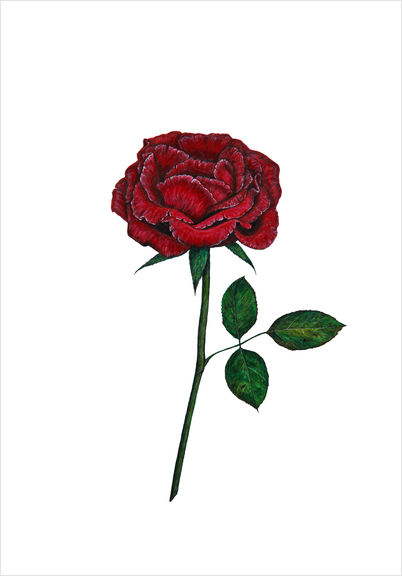 Rose Art Print by Nika_Akin