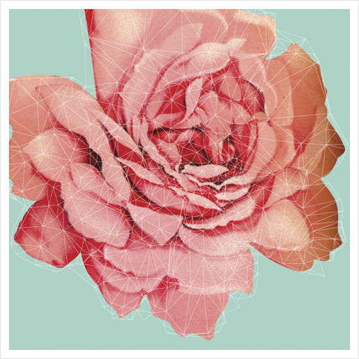 Rose construction Art Print by Vic Storia