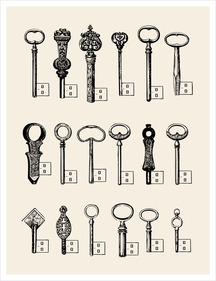 USB Keys Art Print by Florent Bodart - Speakerine