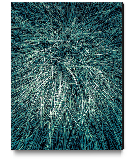 green silky grass texture background Canvas Print by Timmy333