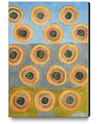 Circles in Front of the Beach  Canvas Print by Heidi Capitaine