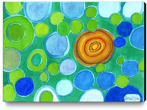 Stones under Water Canvas Print by Heidi Capitaine