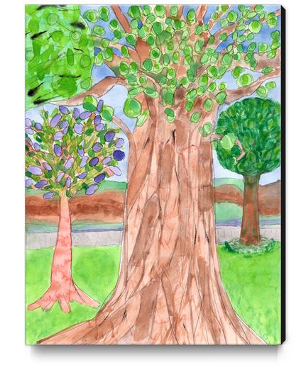 The majestic Tree  Canvas Print by Heidi Capitaine