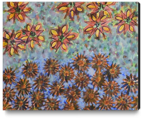 Asters and Paradise Flowers Canvas Print by Heidi Capitaine
