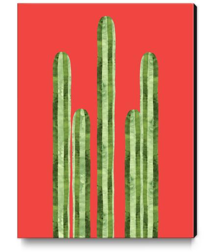 Mexican cacti Canvas Print by Vitor Costa