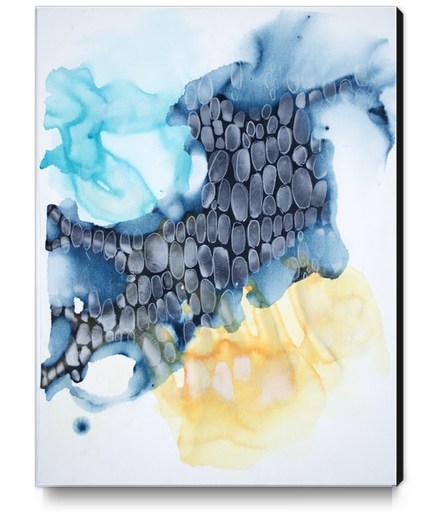 4 Winds: Sirocco Canvas Print by Claire Desjardins