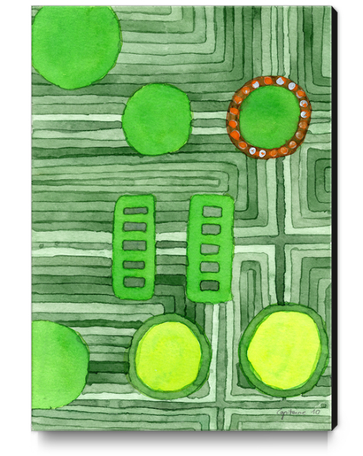Embedded in Green  Canvas Print by Heidi Capitaine