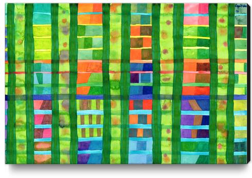 Colored Fields With Bamboo  Canvas Print by Heidi Capitaine