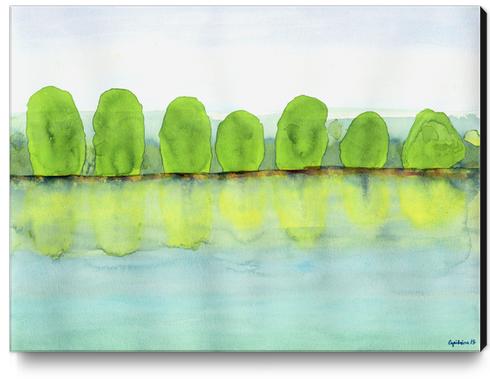 Trees Refecting On The Water  Canvas Print by Heidi Capitaine