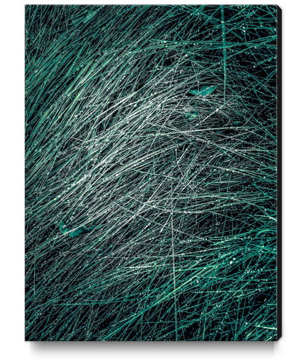 green silky grass texture abstract Canvas Print by Timmy333