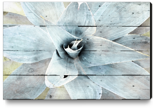 A new begining Canvas Print by Irena Orlov