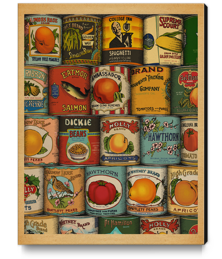 Cans Canvas Print by MegShearer