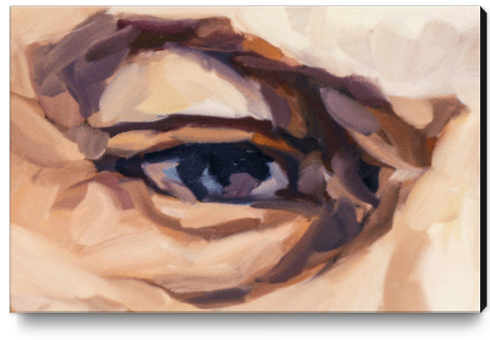 Eyes Canvas Print by Jerome Hemain