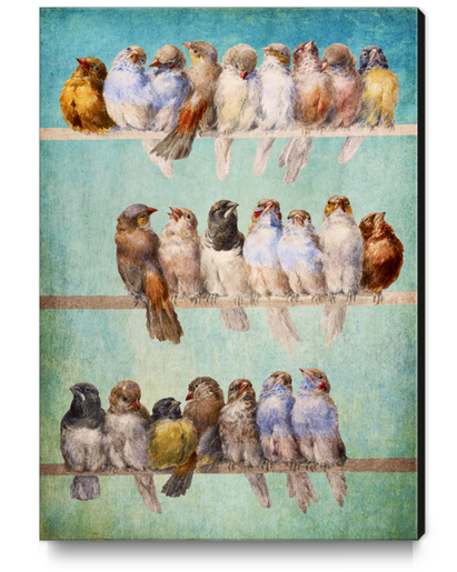 Birds Birds Birds Canvas Print by DVerissimo