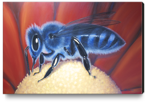 Blue Bee Canvas Print by di-tommaso