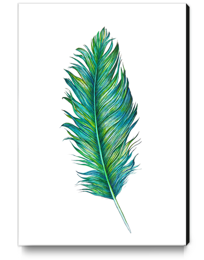 Blue Feather Canvas Print by Nika_Akin